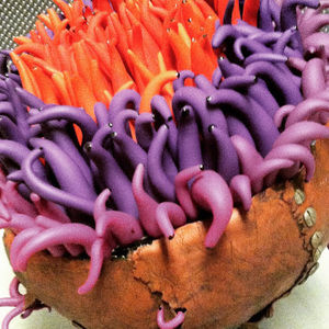 Meet your Posher, Laura